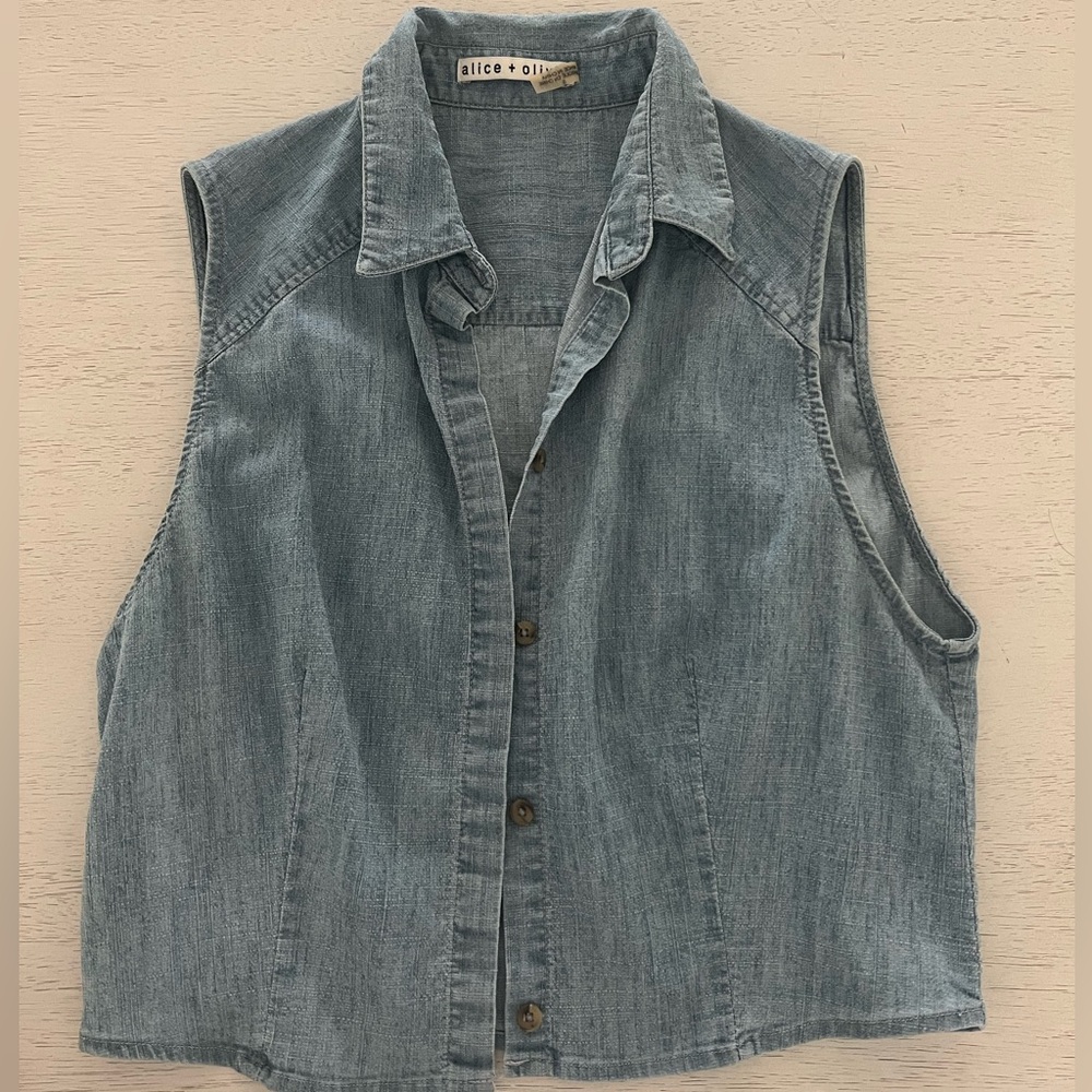 Alice + Olivia Light Blue Denim Top